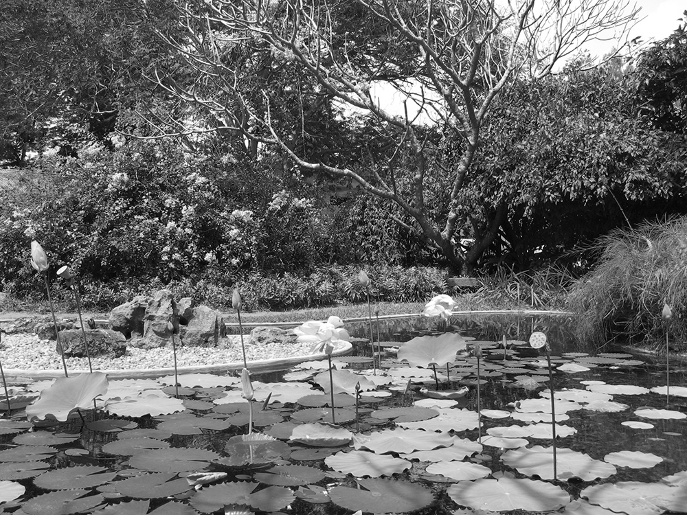 auroville